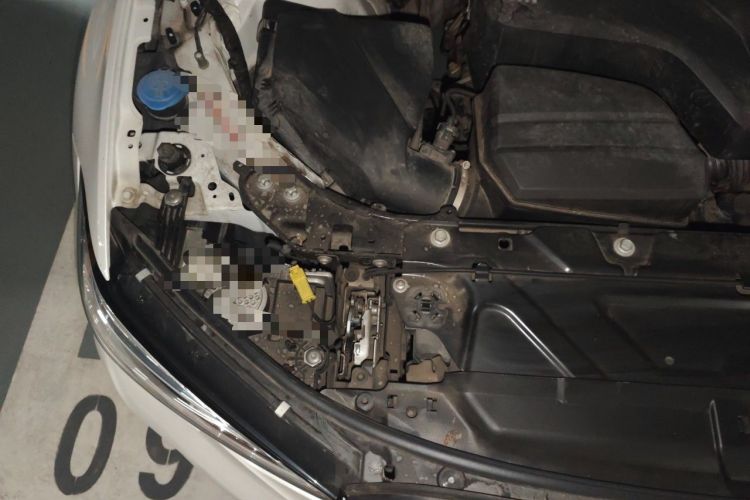 Used BMW 3 Series 2020 320Li M Sport Package Engine Bay Right