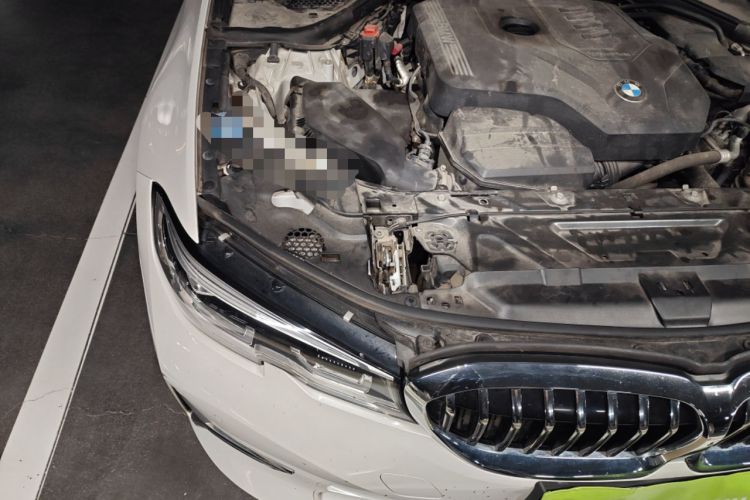 Used BMW 3 Series 2020 325Li First Edition Engine Bay Right