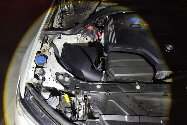Used BMW 3 Series 2020 320Li M Sport Package Engine Bay Right