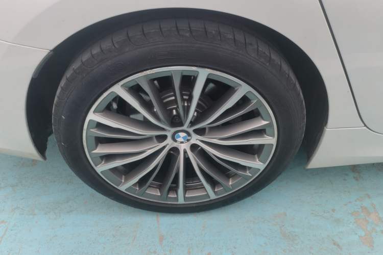 Used BMW 3 Series 2020 325Li First Edition Exterior 5