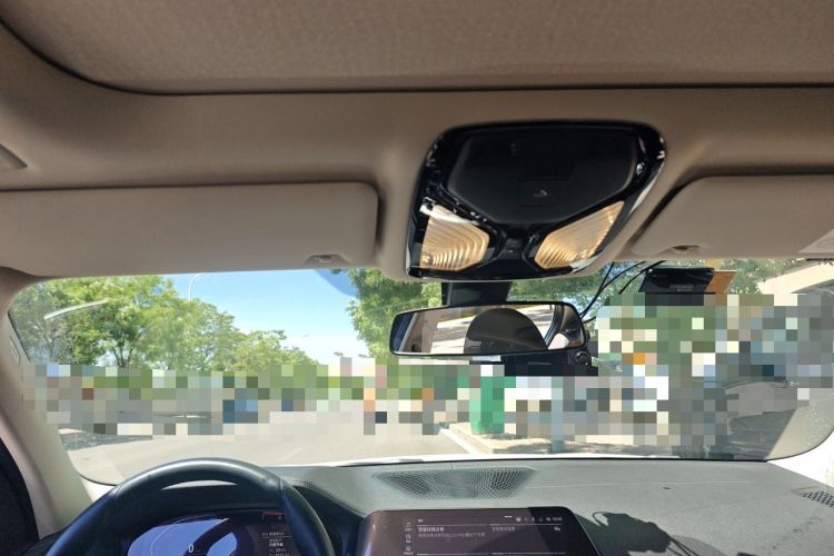 Used BMW 3 Series 2020 325Li First Edition Headliner