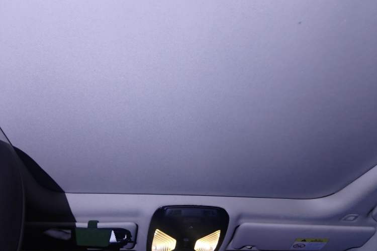 Used BMW 3 Series 2020 320Li M Sport Package Headliner