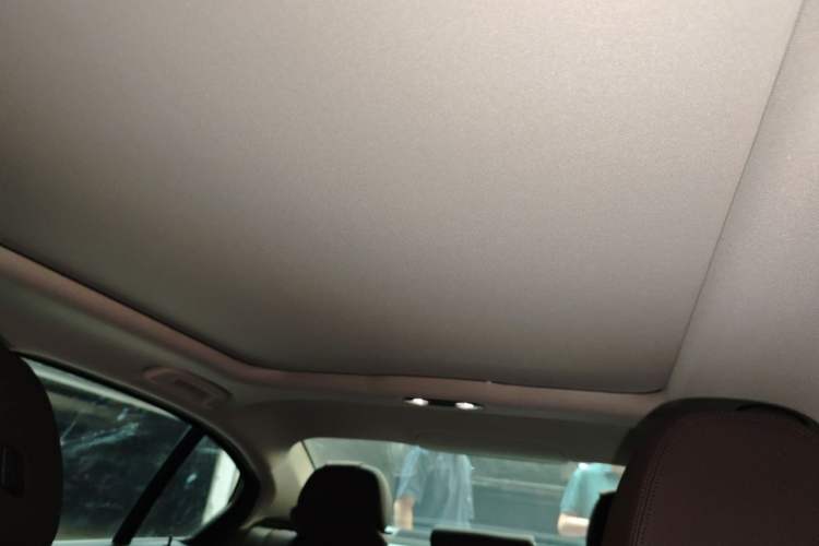 Used BMW 3 Series 2020 Facelifted 325Li xDrive M Sport Package Headliner