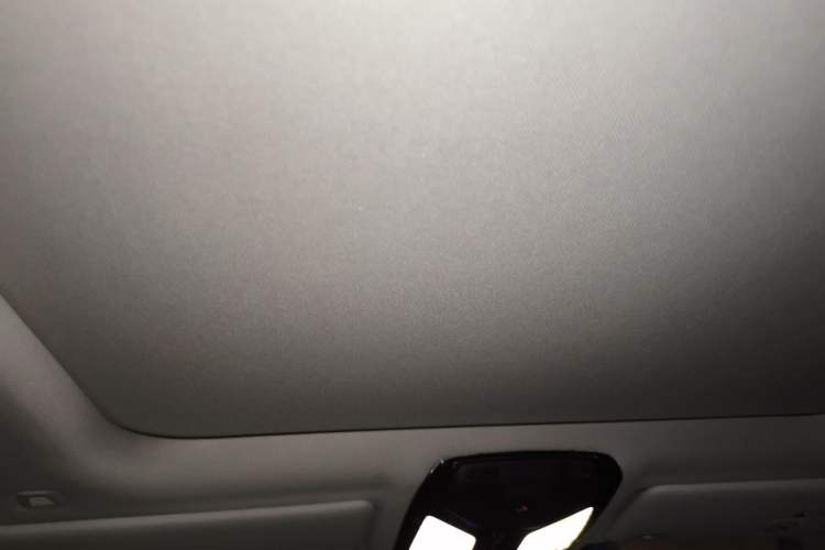 Used BMW 3 Series 2020 325Li M Sport Night Edition Package Headliner