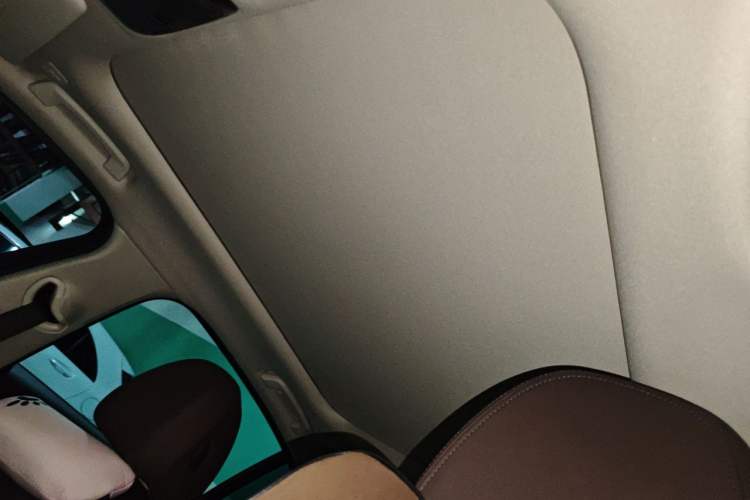 Used BMW 3 Series 2020 320Li M Sport Package Headliner