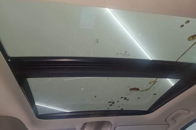 Used BMW 3 Series 2020 325Li M Sport Package Headliner