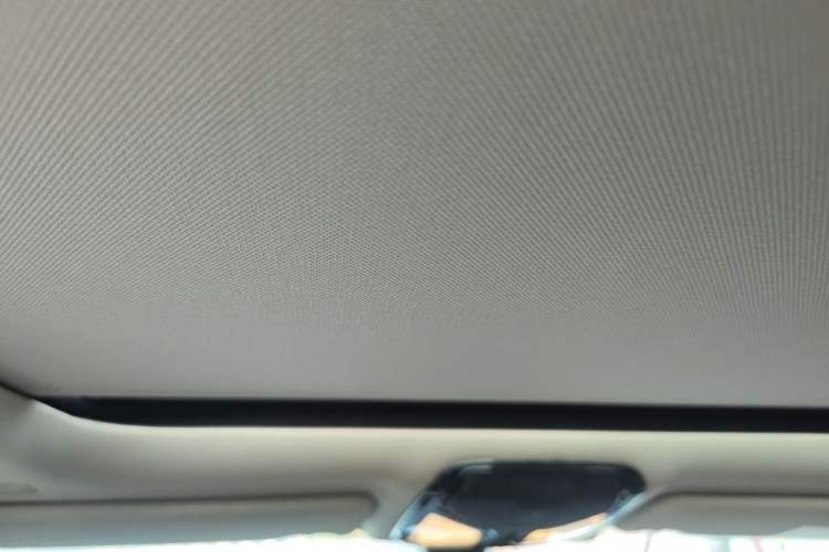 Used BMW 3 Series 2020 325Li First Edition Headliner