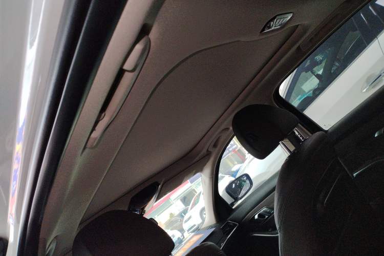 Used BMW 3 Series 2020 320Li M Sport Package Headliner