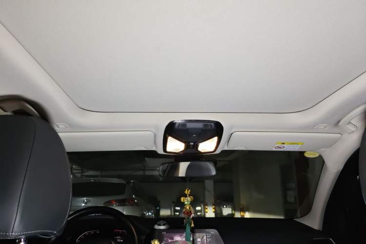 Used BMW 3 Series 2020 325Li First Edition Headliner
