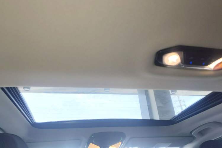Used BMW 3 Series 2020 Facelifted 325i M Sport Package Headliner