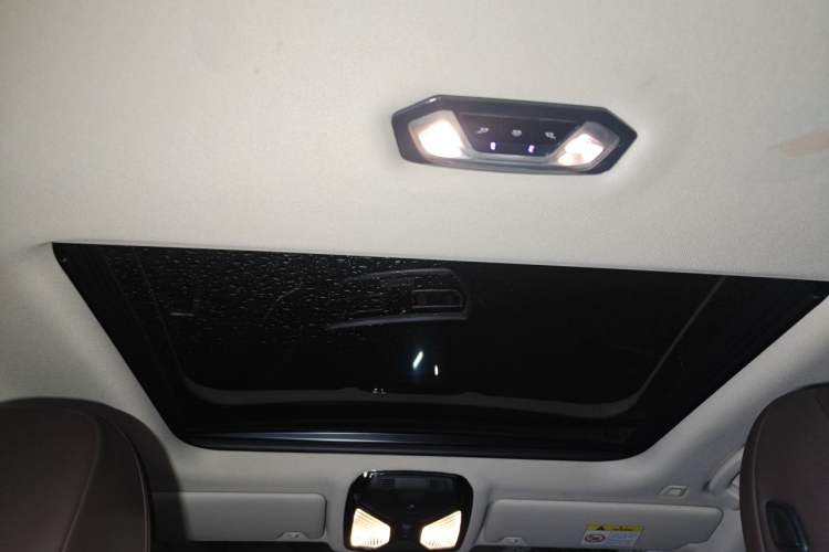 Used BMW 3 Series 2020 Facelifted 325i M Sport Package Headliner