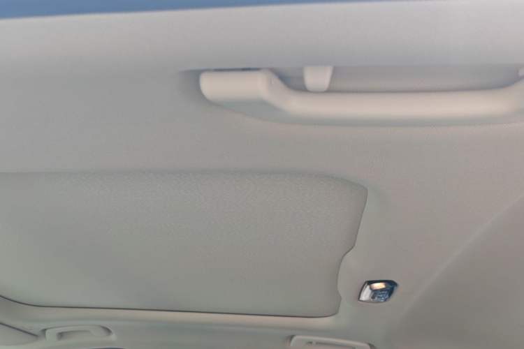 Used BMW 3 Series 2020 320Li M Sport Package Headliner