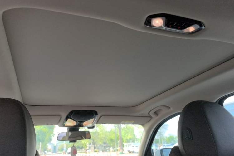 Used BMW 3 Series 2020 320Li M Sport Package Headliner
