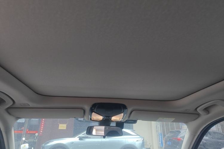 Used BMW 3 Series 2020 325Li First Edition Headliner