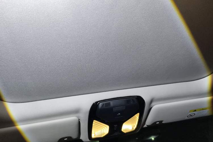 Used BMW 3 Series 2020 325Li First Edition Headliner