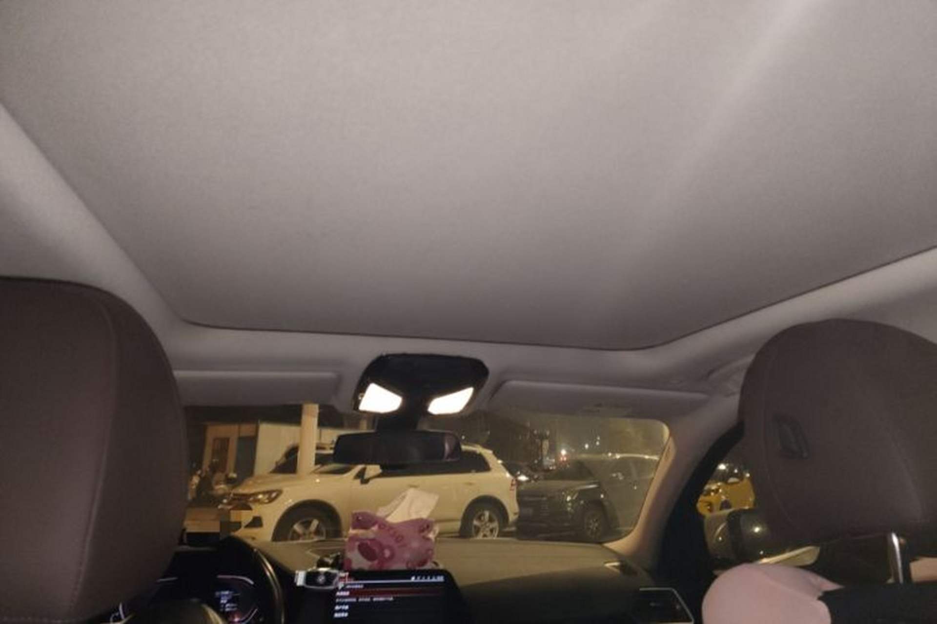 Used BMW 3 Series 2020 320Li M Sport Package Headliner