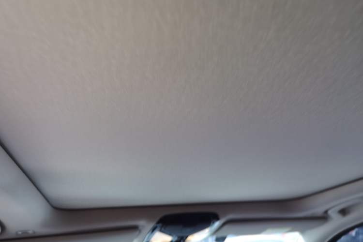 Used BMW 3 Series 2020 Restyled 325Li M Sport Package Headliner
