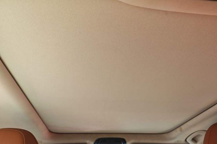 Used BMW 3 Series 2020 320Li M Sport Package Headliner