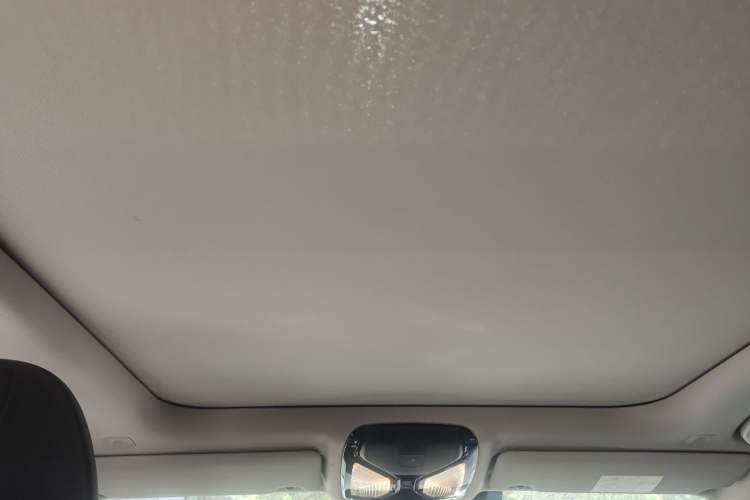 Used BMW 3 Series 2020 325Li M Sport Package Headliner