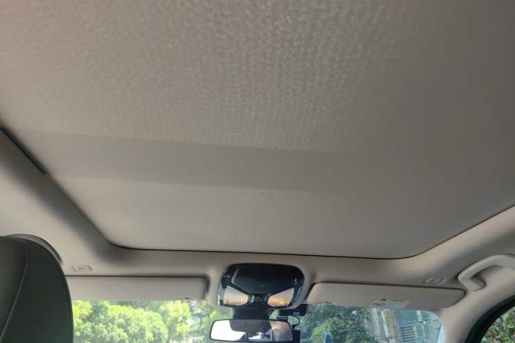 Used BMW 3 Series 2020 325Li M Sport Package Headliner