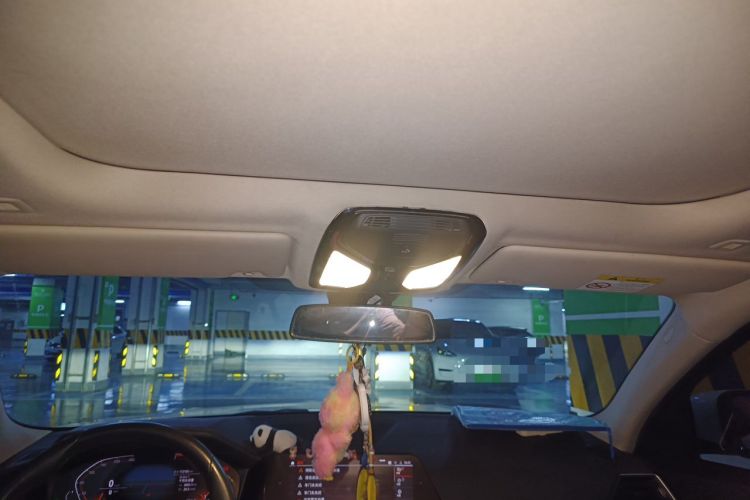 Used BMW 3 Series 2020 325Li First Edition Headliner