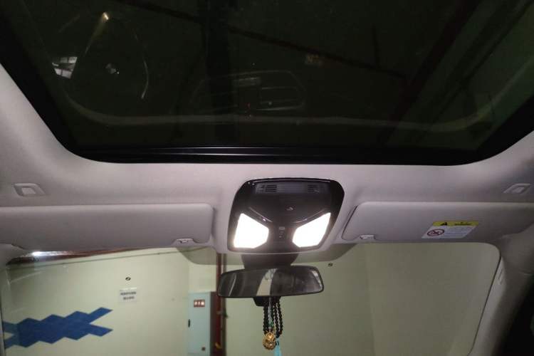 Used BMW 3 Series 2020 325Li First Edition Headliner