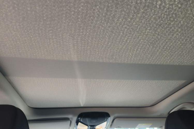 Used BMW 3 Series 2020 320Li M Sport Package Headliner