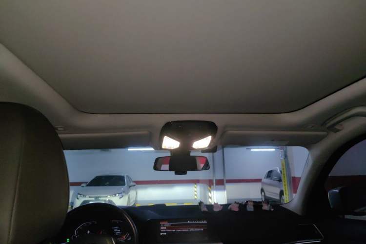 Used BMW 3 Series 2020 325Li First Edition Headliner