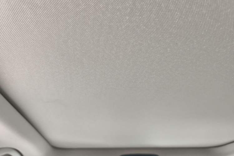 Used BMW 3 Series 2020 320Li M Sport Package Headliner