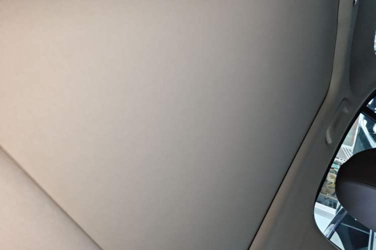 Used BMW 3 Series 2020 325Li First Edition Headliner