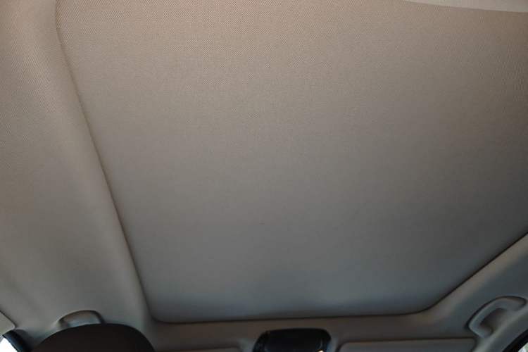 Used BMW 3 Series 2020 325Li First Edition Headliner