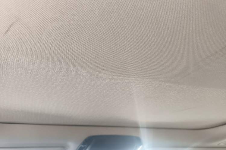Used BMW 3 Series 2020 325Li M Sport Package Headliner