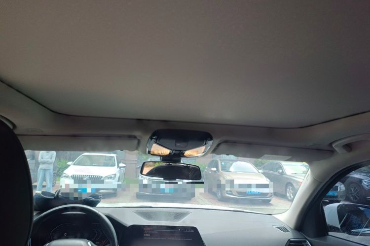 Used BMW 3 Series 2020 325Li First Edition Headliner