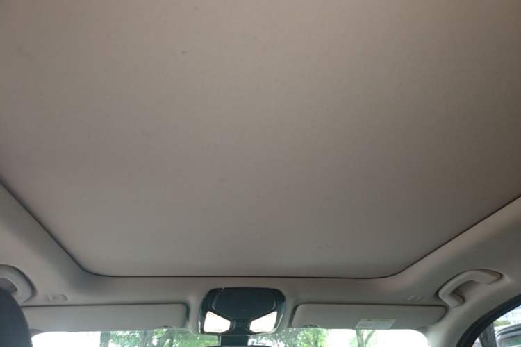 Used BMW 3 Series 2020 325Li First Edition Headliner