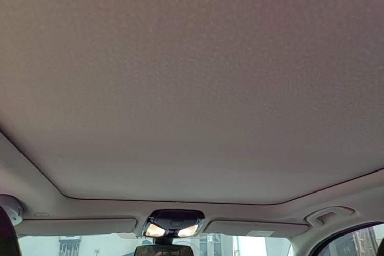 Used BMW 3 Series 2020 320Li M Sport Package Headliner