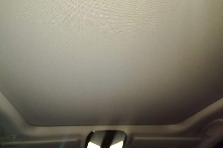 Used BMW 3 Series 2020 325Li First Edition Headliner