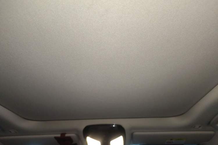 Used BMW 3 Series 2020 320Li M Sport Package Headliner