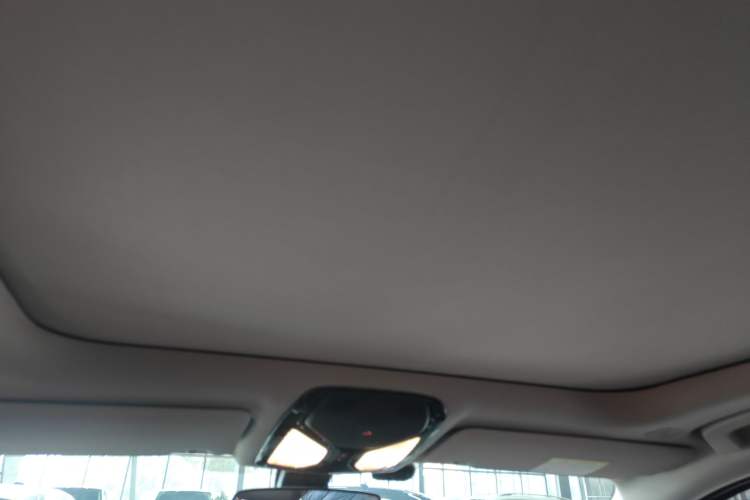 Used BMW 3 Series 2020 325Li First Edition Headliner
