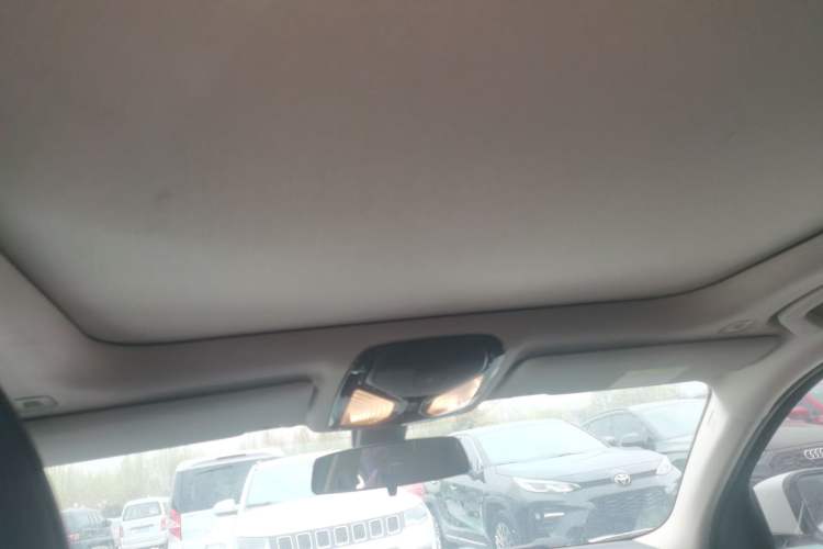 Used BMW 3 Series 2020 325Li First Edition Headliner