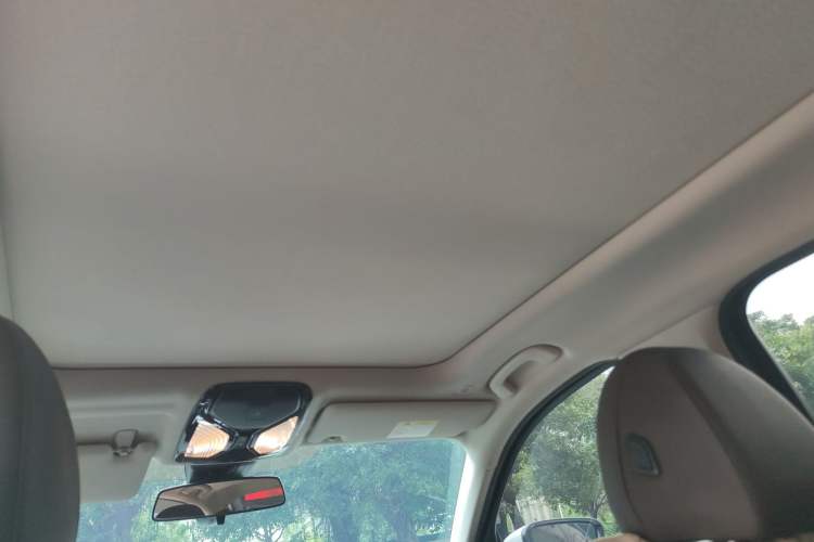 Used BMW 3 Series 2020 Facelift 325Li First Edition Headliner