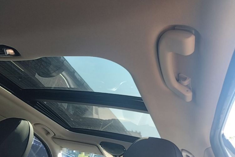 Used BMW 3 Series 2020 320Li M Sport Package Headliner