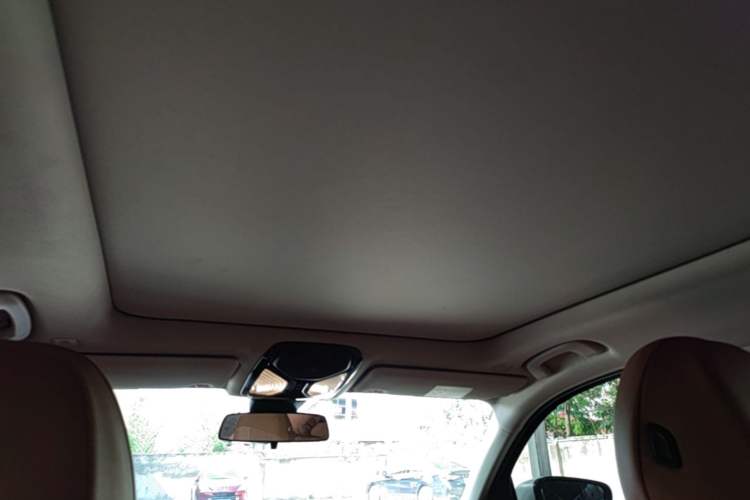 Used BMW 3 Series 2020 Facelifted 325Li xDrive M Sport Package Headliner