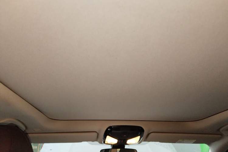 Used BMW 3 Series 2020 320Li M Sport Package Headliner