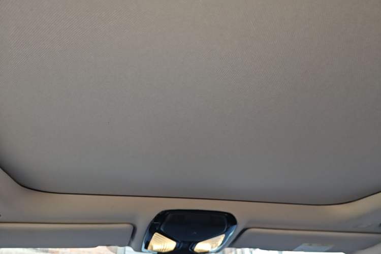 Used BMW 3 Series 2020 325Li xDrive M Sport Package Headliner
