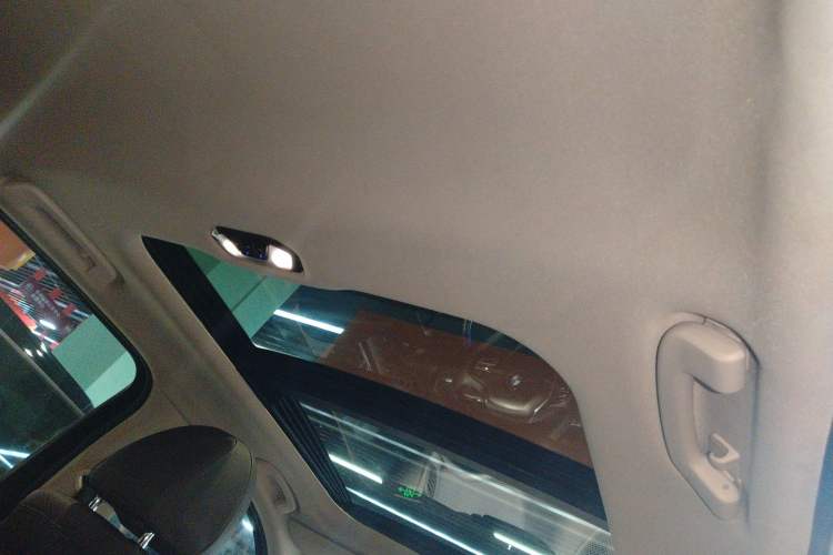 Used BMW 3 Series 2020 325Li First Edition Headliner
