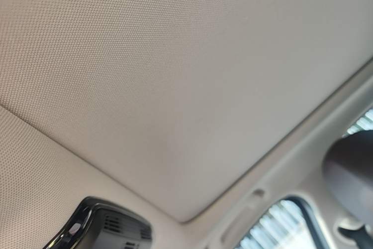 Used BMW 3 Series 2020 325Li First Edition Headliner