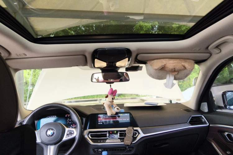 Used BMW 3 Series 2020 325i M Sport Package Headliner