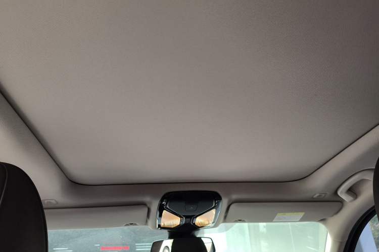 Used BMW 3 Series 2020 Facelifted 325Li M Sport Night Edition Package Headliner
