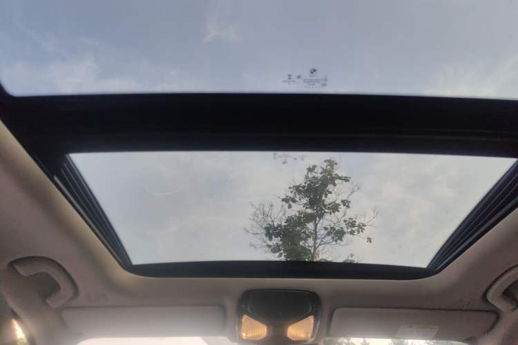 Used BMW 3 Series 2020 320Li M Sport Package Headliner
