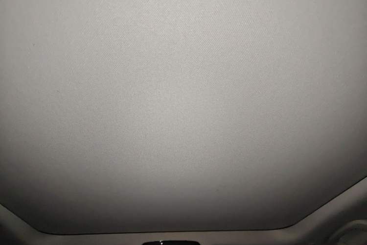 Used BMW 3 Series 2020 325Li First Edition Headliner